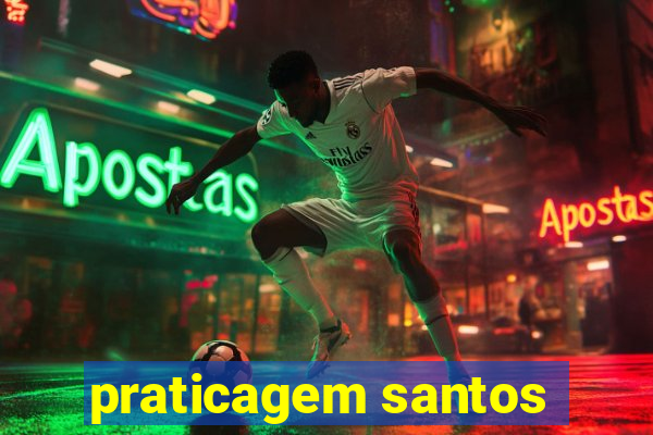 praticagem santos